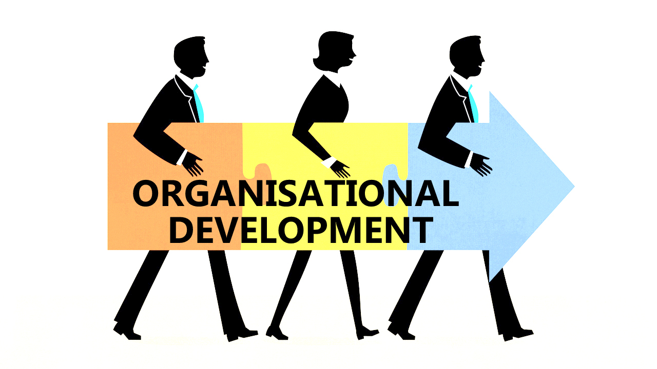 توسعه سازمانی، مدیریت پروژه